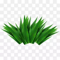 ����-GRASS-������
