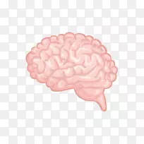 ��-�������Բ���-������