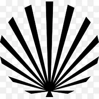 绘制照片过滤博客-光-空若网 绘制照片过滤博客-光-空若网