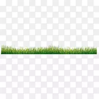 ���̲�-������