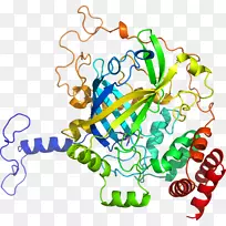 ��������������Ϊ������-��-������