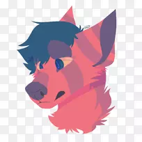 胡须猫,犬科,鼻子,狗-猫-空若网 胡须猫,犬科,鼻子,狗-猫-空若网