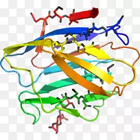 �ߵ������������-������