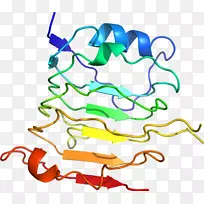 线点生物剪贴画线-空若网 线点生物剪贴画线-空若网