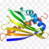 蔬菜线夹艺术-蔬菜-空若网 蔬菜线夹艺术-蔬菜-空若网