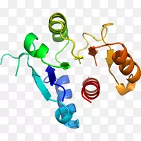 线点剪贴画-线-空若网 线点剪贴画-线-空若网