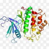 蔬菜茎线夹艺术-蔬菜-空若网 蔬菜茎线夹艺术-蔬菜-空若网