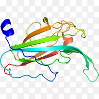 �ߵ������������-������