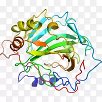 �ߵ������������-������