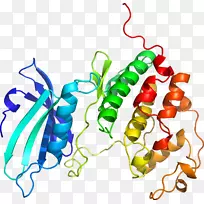 昆虫食物传粉线剪贴画昆虫-空若网 昆虫食物传粉线剪贴画昆虫-空若网