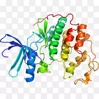 �߲��л���ϵ�ж��������-�߲�-������