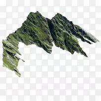 叶菜树-空若网 叶菜树-空若网