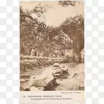 ����ͼƬ��-������