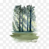 ˮ�ʻ�ֽ����-ɭ��-������