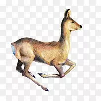 ��¹Ȯ�ƶ���-¹-������