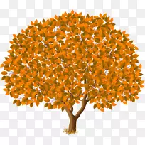 ���������-����-������