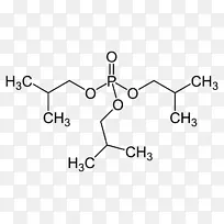 �л���ѧ����-���������ᰱ��-5-��ͪ��-5-������-������