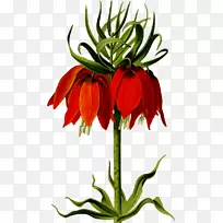 ��ĸ������Ƶ���ͼ�������-������