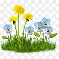 �������ɵ��Զ���������.-������