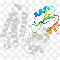 树线剪贴画-树-空若网 树线剪贴画-树-空若网