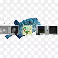 电子多媒体设计-空若网 电子多媒体设计-空若网