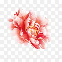 水彩画中的花卉设计-牡丹-空若网 水彩画中的花卉设计-牡丹-空若网