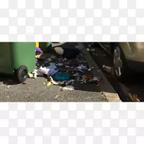 ���ϳ���-��������Mysuru-������