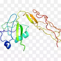 �ߵ������-��-������