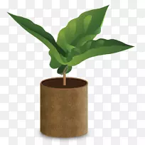 阿拉比卡咖啡豆专用咖啡桌-咖啡-空若网 阿拉比卡咖啡豆专用咖啡桌-咖啡-空若网