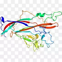 线点生物剪贴画线-空若网 线点生物剪贴画线-空若网
