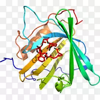 线点生物剪贴画线-空若网 线点生物剪贴画线-空若网