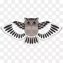 潍坊猫头鹰风筝丝猫头鹰-空若网 潍坊猫头鹰风筝丝猫头鹰-空若网