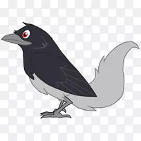 �����-ƾ֤-������