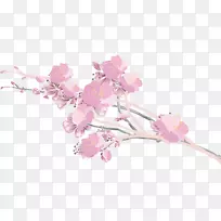 樱花墨水-墨水樱花-空若网 樱花墨水-墨水樱花-空若网