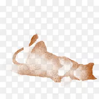 犬科狗,毛皮,鼻子,-狗-空若网 犬科狗,毛皮,鼻子,-狗-空若网