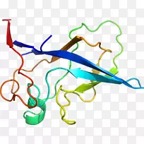 ֱ�ߵ�ֲ�ﾥ��������-������