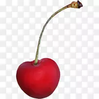 马拉斯奇诺樱桃剪贴画-樱桃PNG免费下载-空若网 马拉斯奇诺樱桃剪贴画-樱桃PNG免费下载-空若网