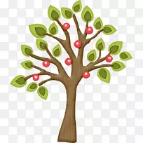 枝叶开花山茱萸-空若网 枝叶开花山茱萸-空若网