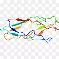 �ߵ������������-������