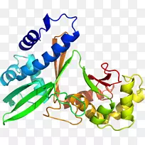 植物茎体珠宝线剪贴画线-空若网 植物茎体珠宝线剪贴画线-空若网