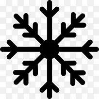 ҽ�Ʊ������ݹ������ݷ���.ѩ��-������