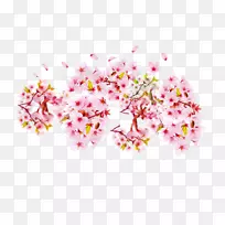 樱花花瓣桃红色樱花-空若网 樱花花瓣桃红色樱花-空若网