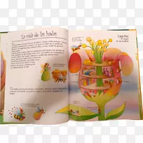 蔬菜果蔬-空若网 蔬菜果蔬-空若网