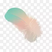 羽毛画博客-羽毛-空若网 羽毛画博客-羽毛-空若网