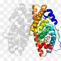 艺术有机体剪辑艺术共激活剂-空若网 艺术有机体剪辑艺术共激活剂-空若网