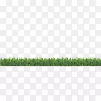 麦草草坪草甸消费者报告.田间媒介-空若网 麦草草坪草甸消费者报告.田间媒介-空若网