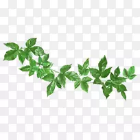 小王子音乐剧-空若网 小王子音乐剧-空若网