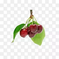 樱桃果下载浆果樱桃-空若网 樱桃果下载浆果樱桃-空若网