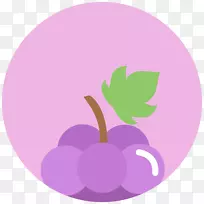 普通葡萄电脑图标浆果葡萄-空若网 普通葡萄电脑图标浆果葡萄-空若网
