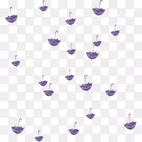 Adobe�廭ɡ-������